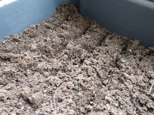 Hochbeetgemüse auf dem Balkon