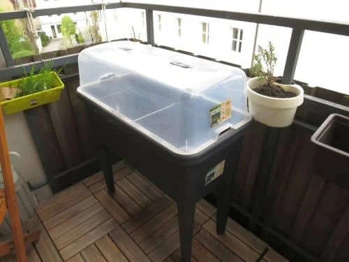 Hochbeetgemüse auf dem Balkon