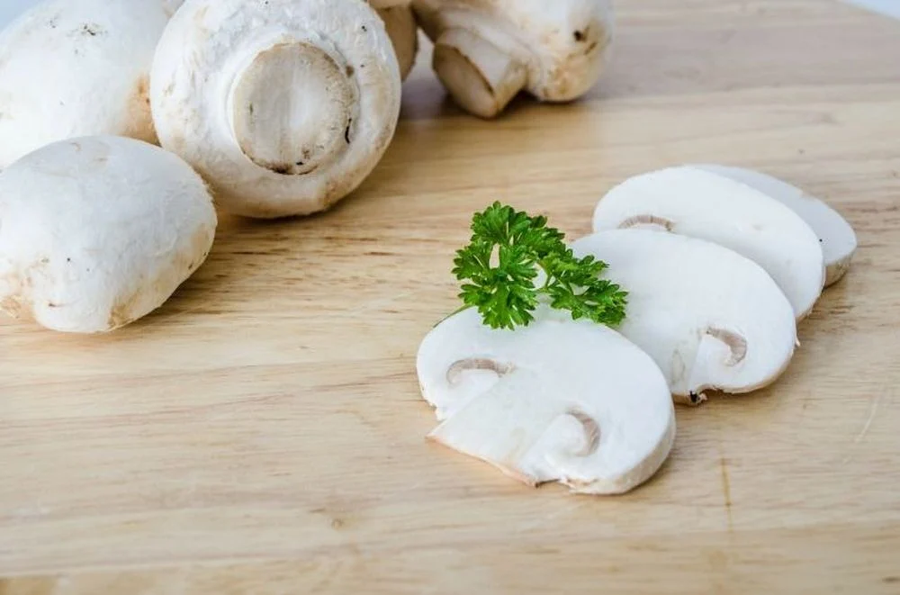 Pilze mit einem Pilzzuchtset anzüchten