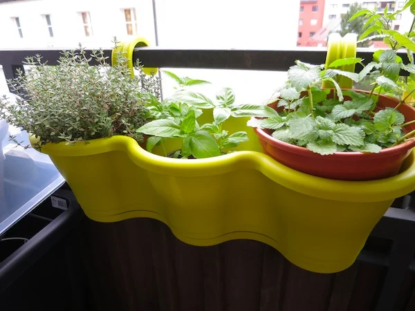 Blumenkasten von Elho