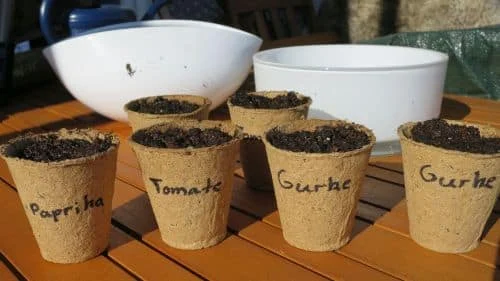 Zeit die Anzucht zu starten
