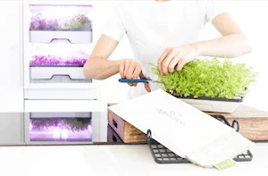 agrilution plantCube