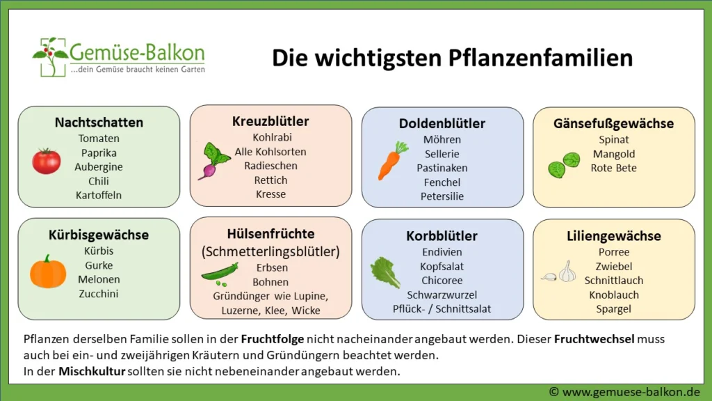 Die wichtigsten Pflanzenfamilien